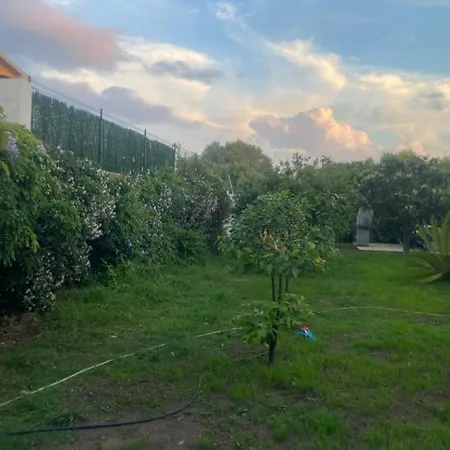 Il Nespolo Casa Vacanze A Due Passi Dal Mare 奧爾比亞